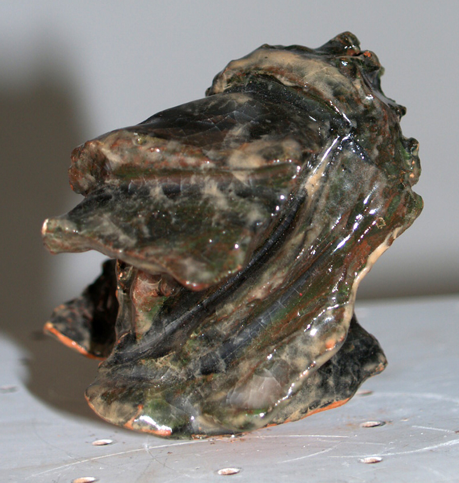 T�te de con d�capit�e et momifi�e.